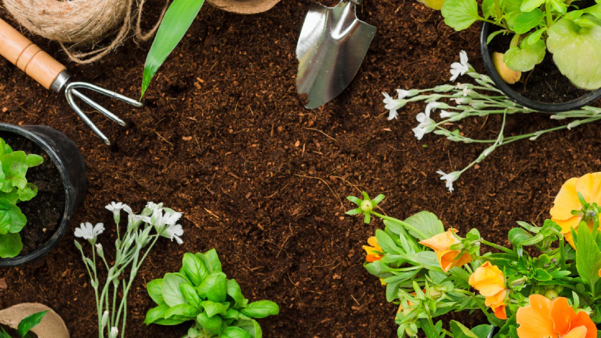 gardening-tools